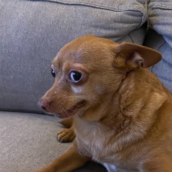 mars 🗡️ tweet media