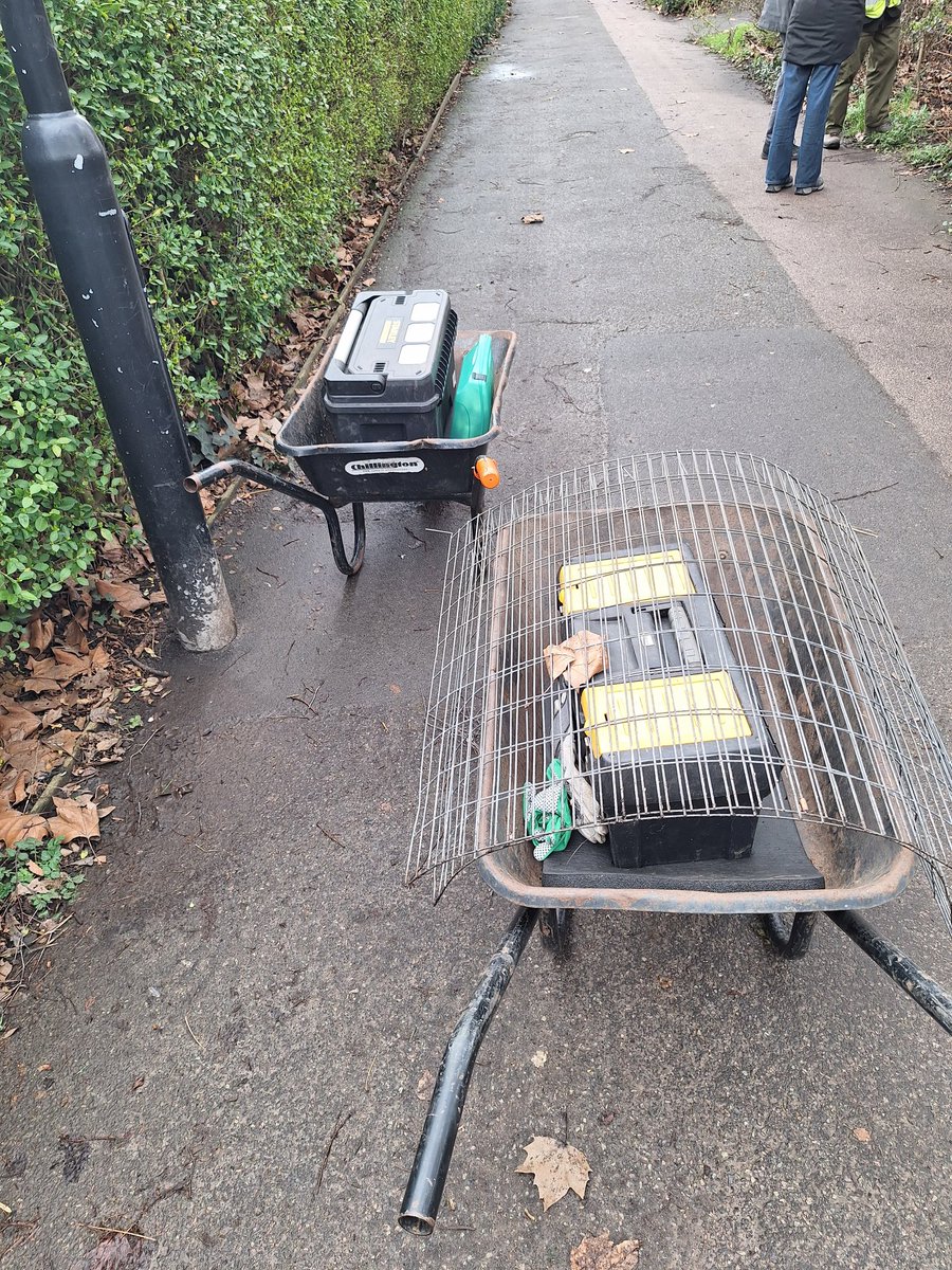 Hackney Downs Park 🌲🌳🌻🌼 tweet media