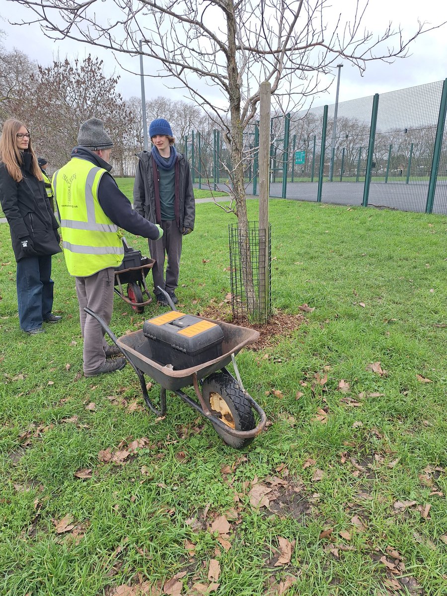Hackney Downs Park 🌲🌳🌻🌼 tweet media
