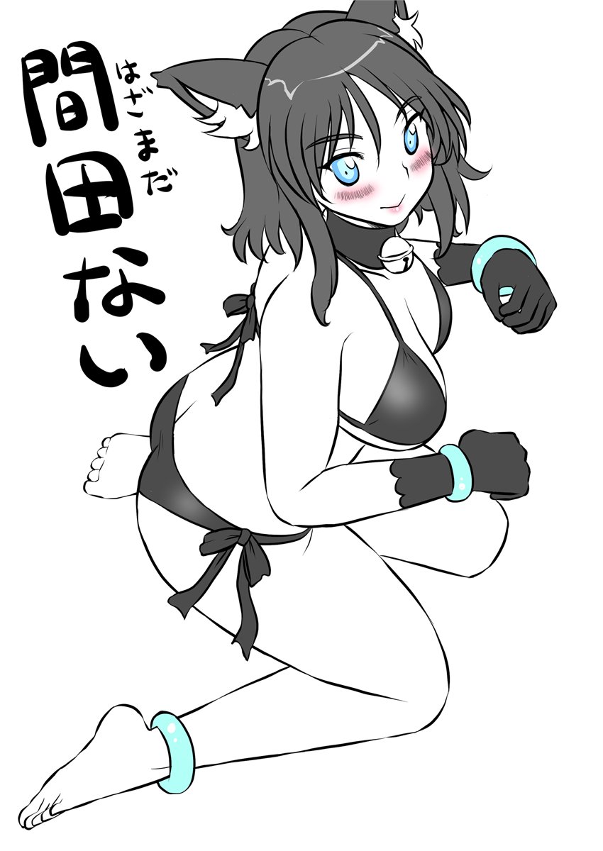 今日って『猫の日』なんですね〜〜
ということでうちの子『間田ない』を・・・ 