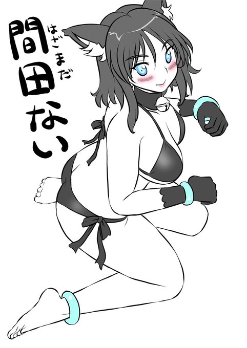 今日って『猫の日』なんですね〜〜
ということでうちの子『間田ない』を・・・ 