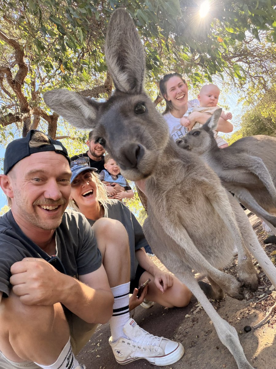 handsome_dan_'s tweet image. Great day with the outlaws when our picnic was politely interrupted by these rascals #PerthIsOk #Aus