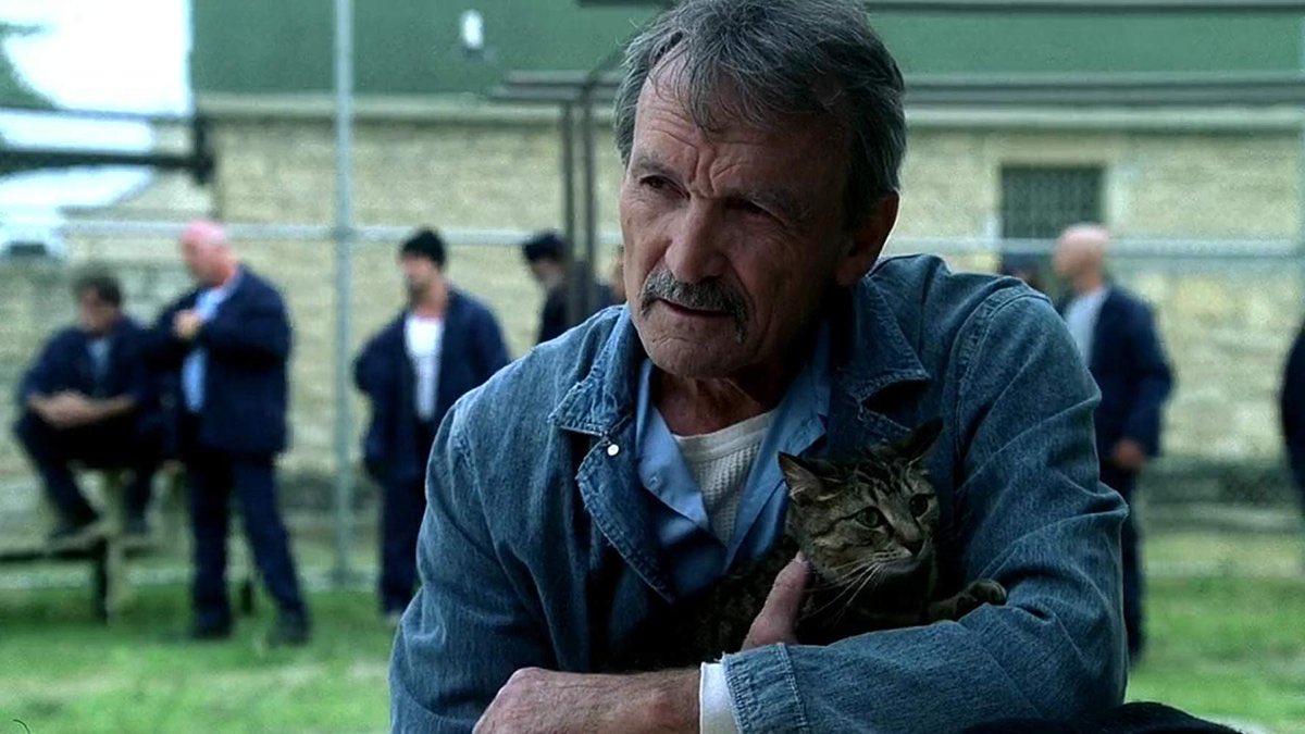 𝗧𝗵𝗲𝗼𝗹𝗶𝘀𝘀𝗼 🦁 tweet media