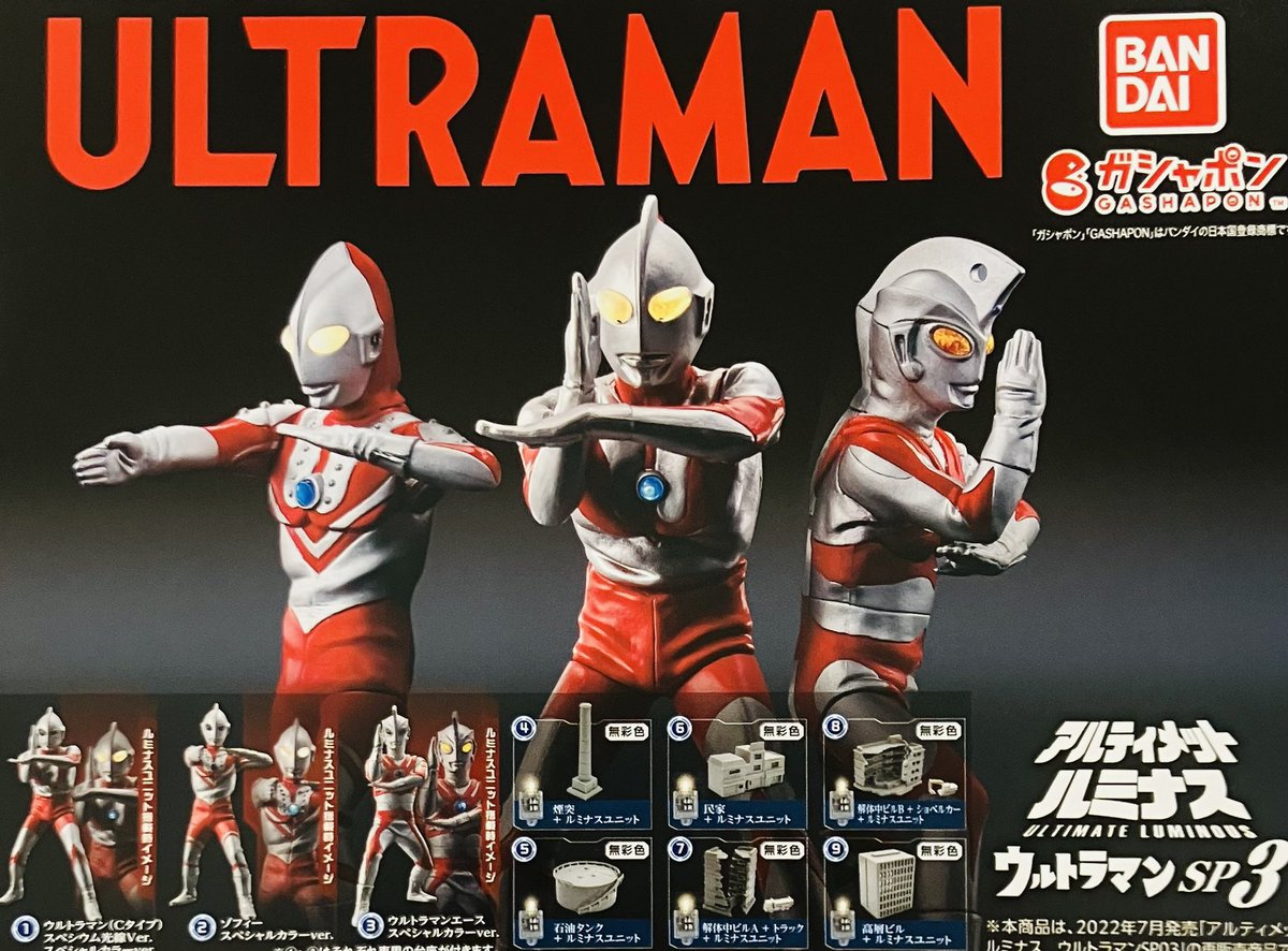 📢🙇2月22日(日)完売のお知らせ🙇 ❎ 天候の呪い師 てるてるすずめ