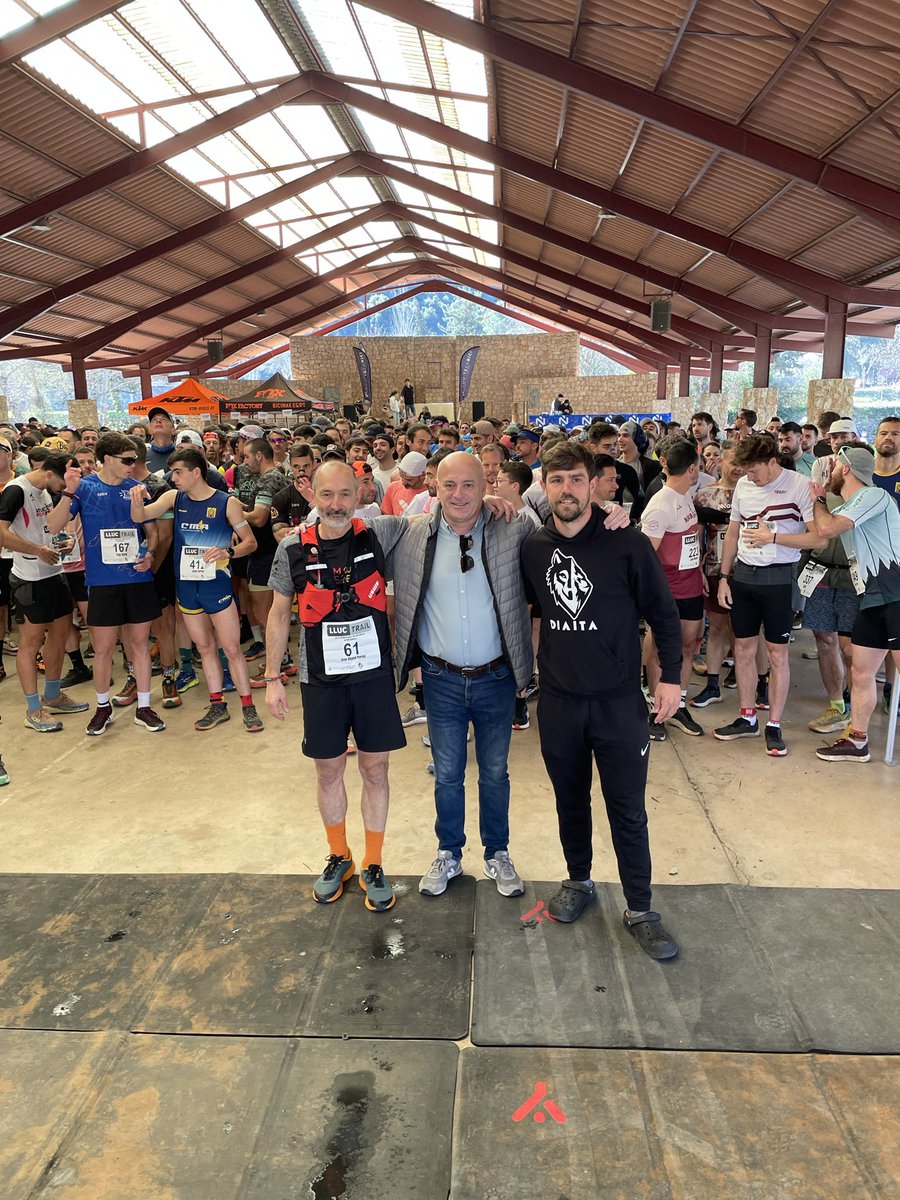 Toni Solivellas tweet media