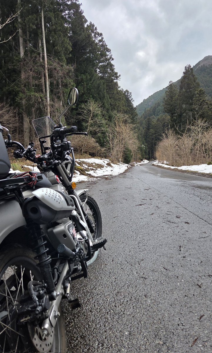 midori09_u's tweet photo. 気温13~15℃ 🌥️
今日は. 思いっきり
相棒クンと走りたかった日~ 🛵💨💨
😊♪︎
(雲行き怪しかった ケド…💦
#R429
#朝来市銀山湖 https://t.co/q4FbUM512w
