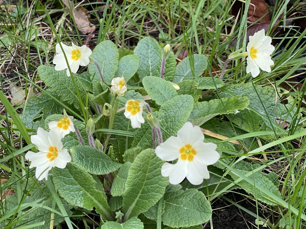 Rodger Caseby💙 tweet media