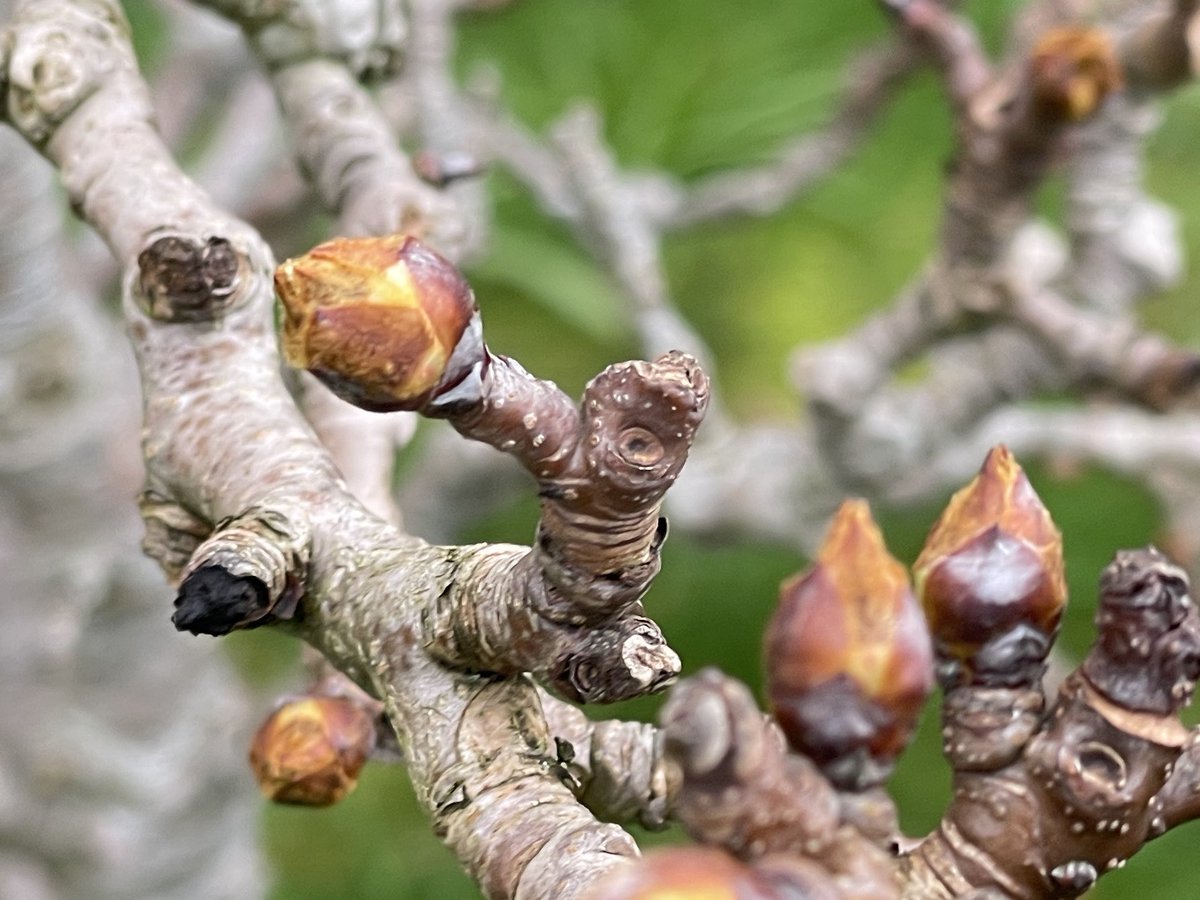 Rodger Caseby💙 tweet media