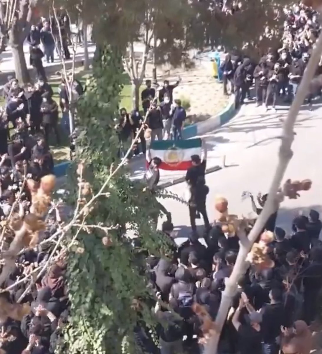 Moloud.Hajizadeh | مولود حاجی‌زاده tweet media