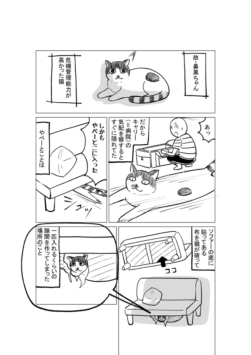 猫の日(再掲) 