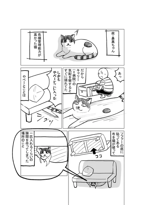 猫の日(再掲) 