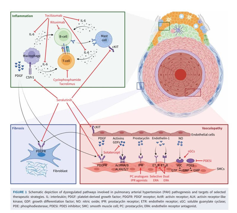 Montani David tweet media