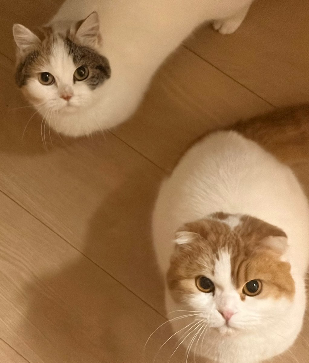 窓付き@裏垢 tweet media