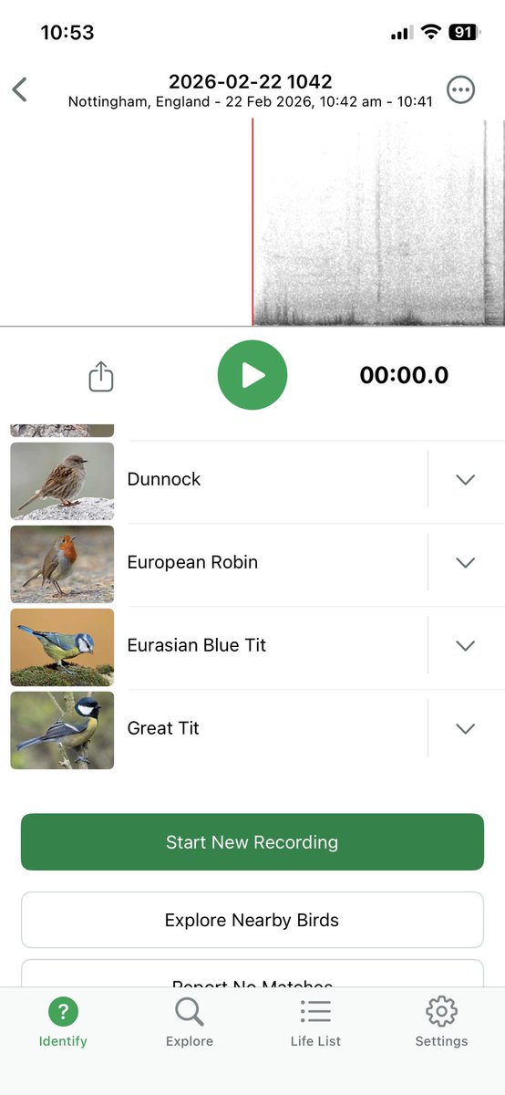 NG4 online tweet media