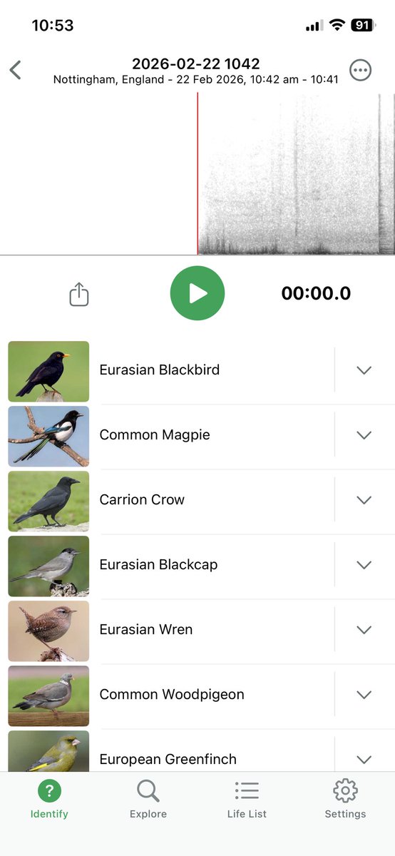 NG4 online tweet media