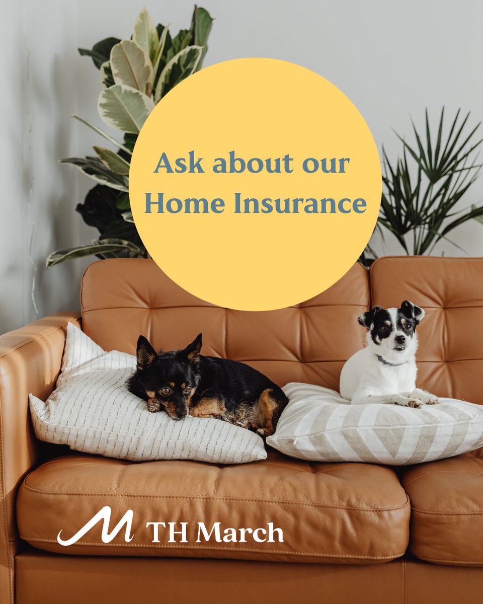 THMarchBiz's tweet image. We recognise that every home is different. Our sole task is to help you find the best policy to suit your needs and give you complete peace of mind.

See our website for more information: eu1.hubs.ly/H0rS0T60

#THMarchInsurance #HomeInsurance
