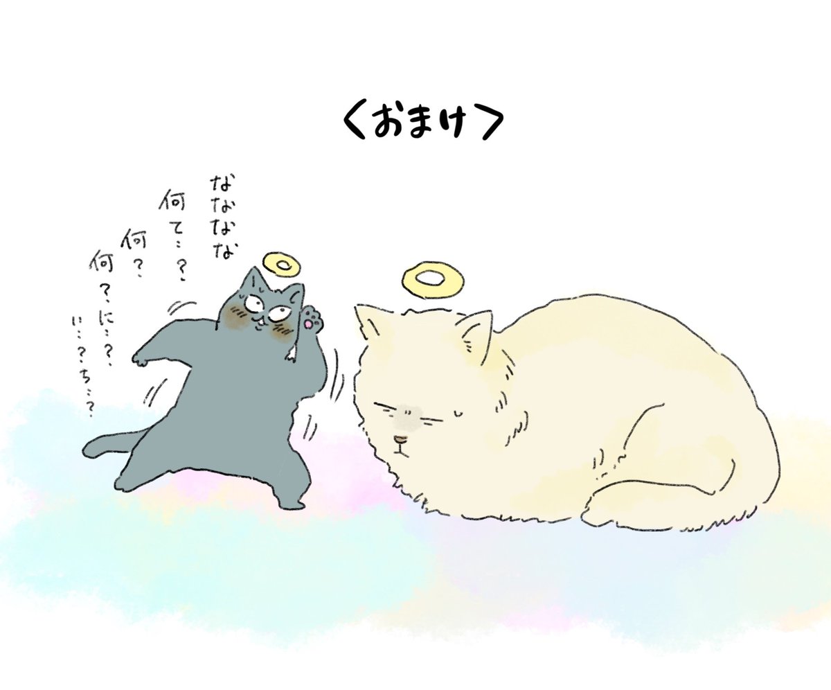 天国での暮らしはどうですか「チビ丸とドデカ丸」(3/3)
すべてのネコに幸あれ…🙇‍♂️🐈