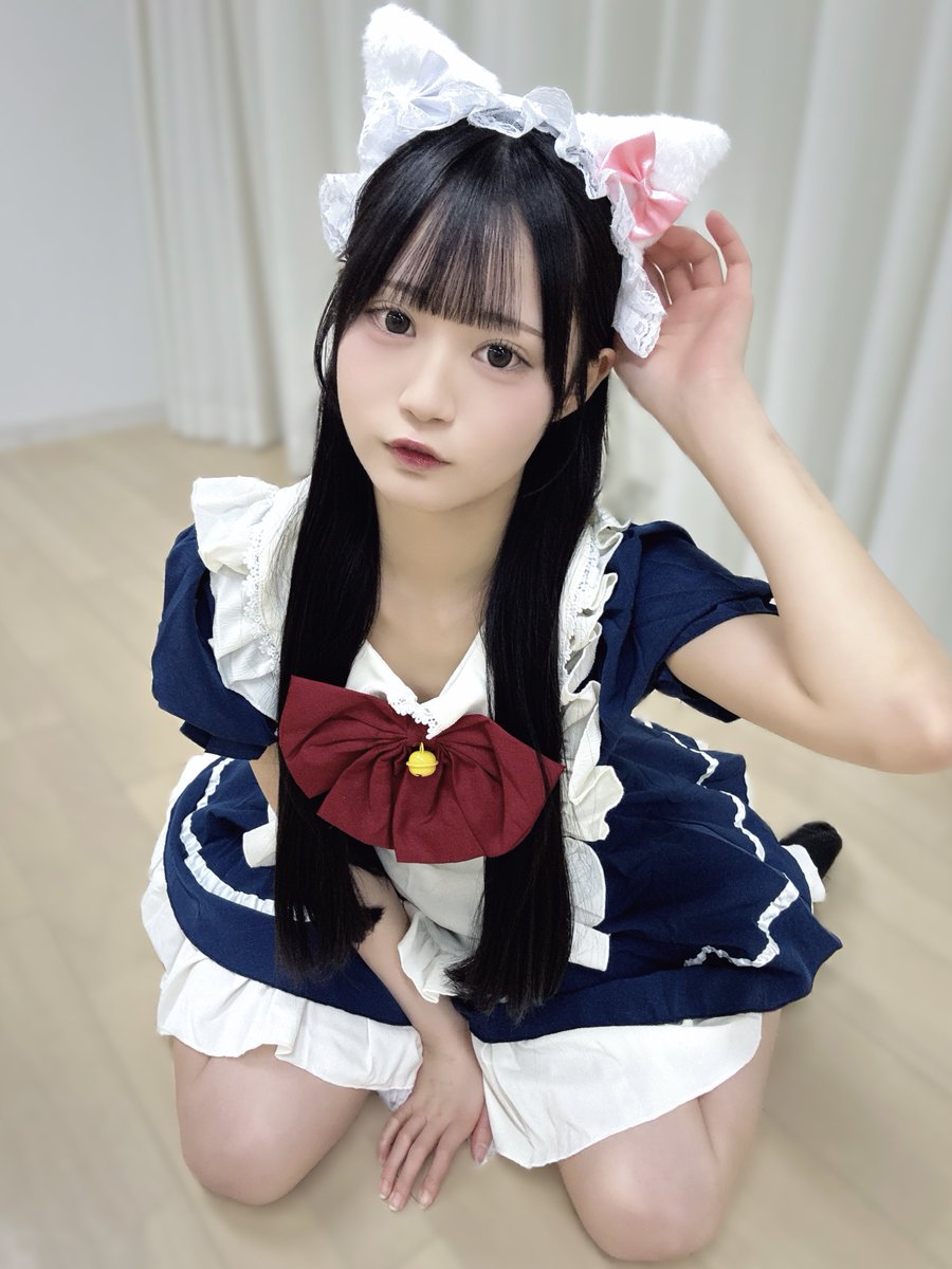 お前ん家のねこ #猫の日 #にゃんにゃんにゃんの日