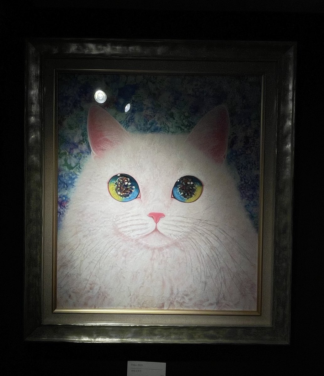 福嶋吾然有 (@AsariCats) / Posts / X