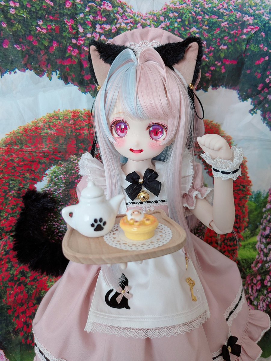 猫の日🐾🐈‍⬛🩷 #あかりっこ #夢ふわ #木茶動物園 #MDDはいいぞ