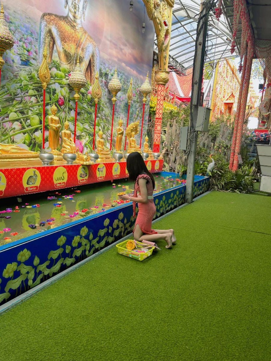 😎😎 tweet media