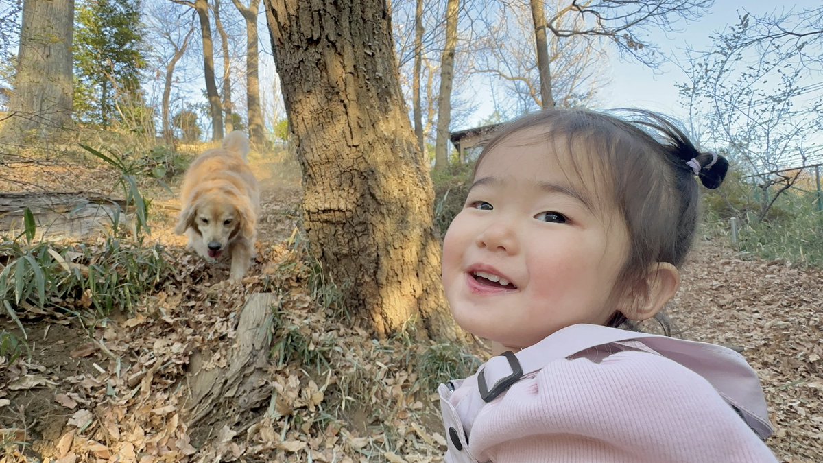 豆柴うに&ゴールデンレトリバーおから (@uni_okara0725) / Posts / X