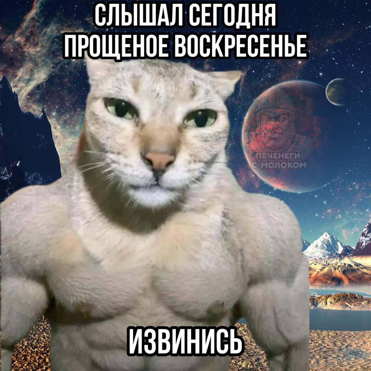 Gribanov ☢ ᓚᘏᗢ tweet media