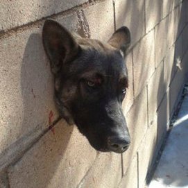 Old Man Metal tweet media