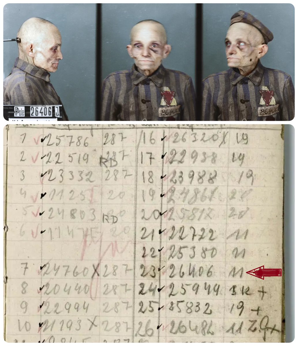 รђє๓เгչคภչค๔єђ tweet media