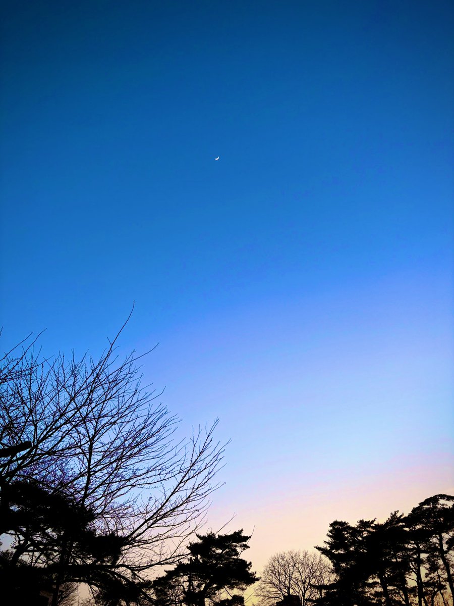 夕方お散歩してきました(ง ˙˘˙ )ว