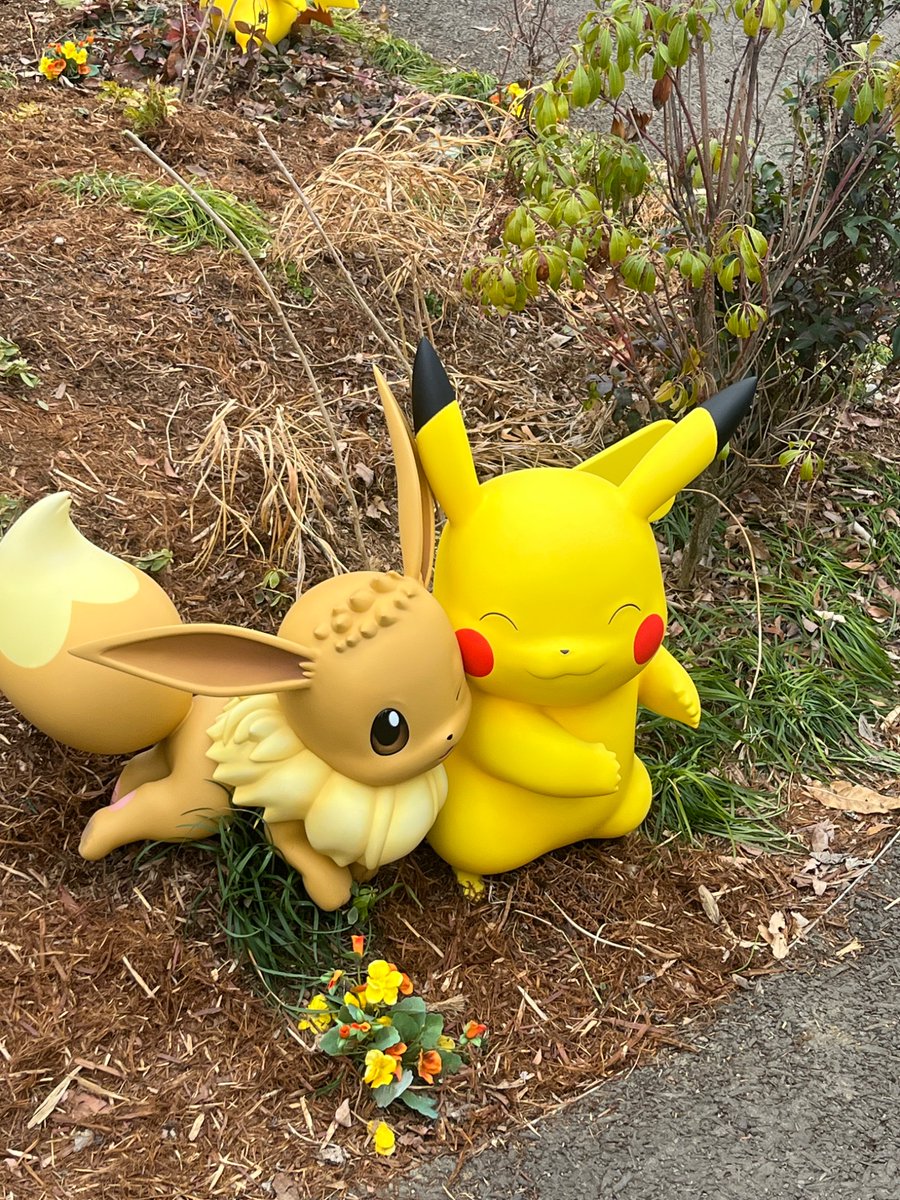 先日行ってきました。念願のポケパークカントー！！ 最高でした。…まっ