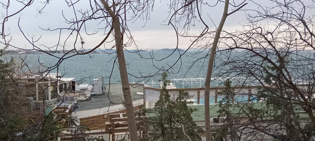 İstanbul Moda kulübü. Solda Kalamış koyu, öte tarafında Fenerbahçe burnu, karşıda Marmara denizinin Prens adaları. Güzel bir kış günü yürüyüşünden...
Ülkemizde kışın bitmesi mutluluğun geri gelmesi dileğiyle...
#İstanbul