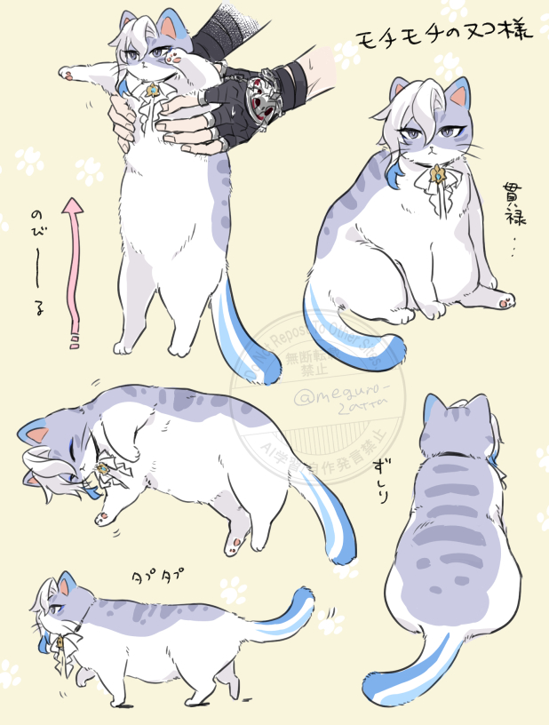 ቺቻቺቻのヌコ様🐈🌧