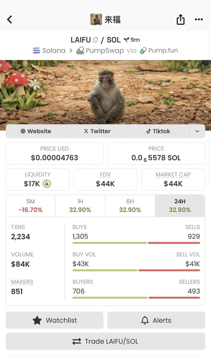 1_Yante's tweet photo. Other monkey getting attention 🔥
Will this one get too #Laifu 🤝🙋♂️
CA:
CT7QP1FDFCXGKZpRLVE2oYxi9NbtaEgJ8T5yQHbjpump
#Crypto #Memes #Trend https://t.co/AjYzhqgfKw