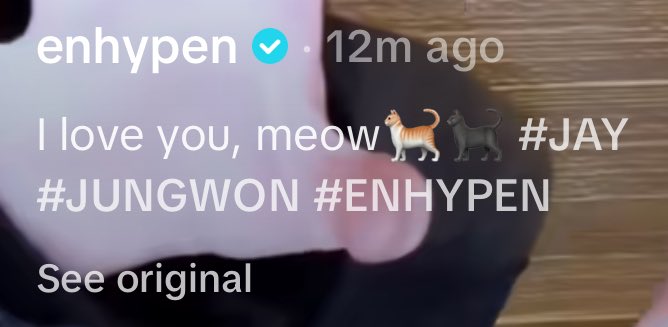 Jaywonhugs's tweet photo. they love each other your honor https://t.co/Q5FJQWz2Oe