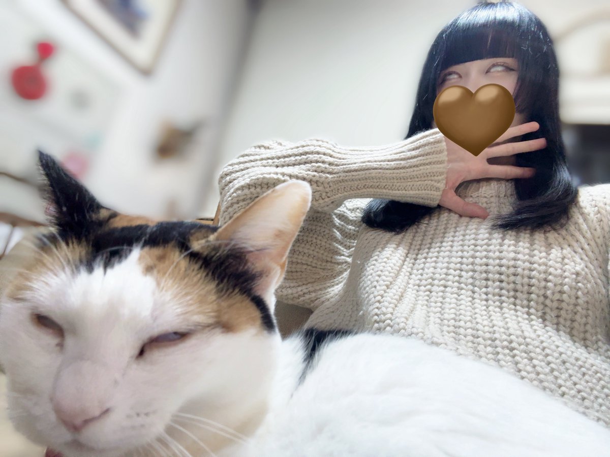 猫の日ᯠ _ ̫ _ ᯄ ੭