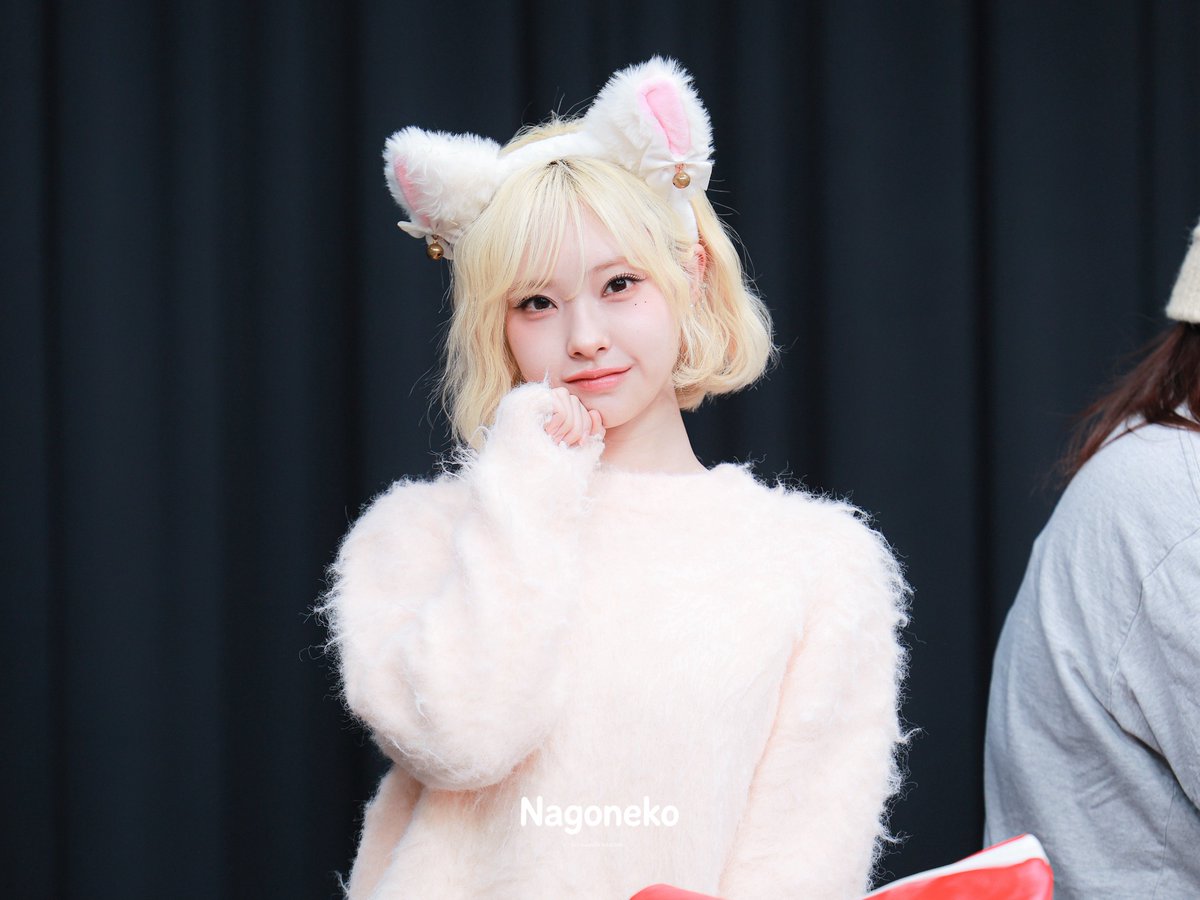 260221 HQ 🐱 #메이딘 #MADEIN #メイディン #나고미 #阿部和 #NAGOMI