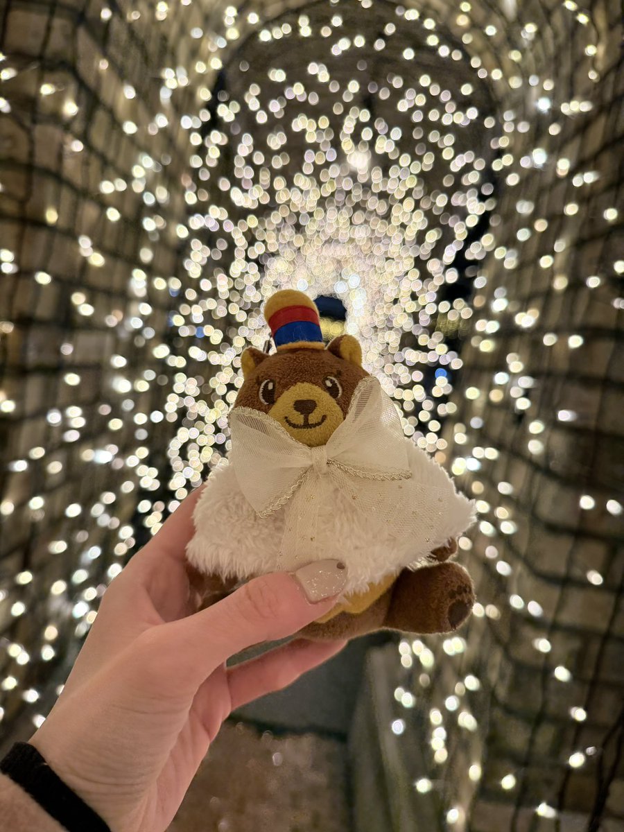 しずく tweet media