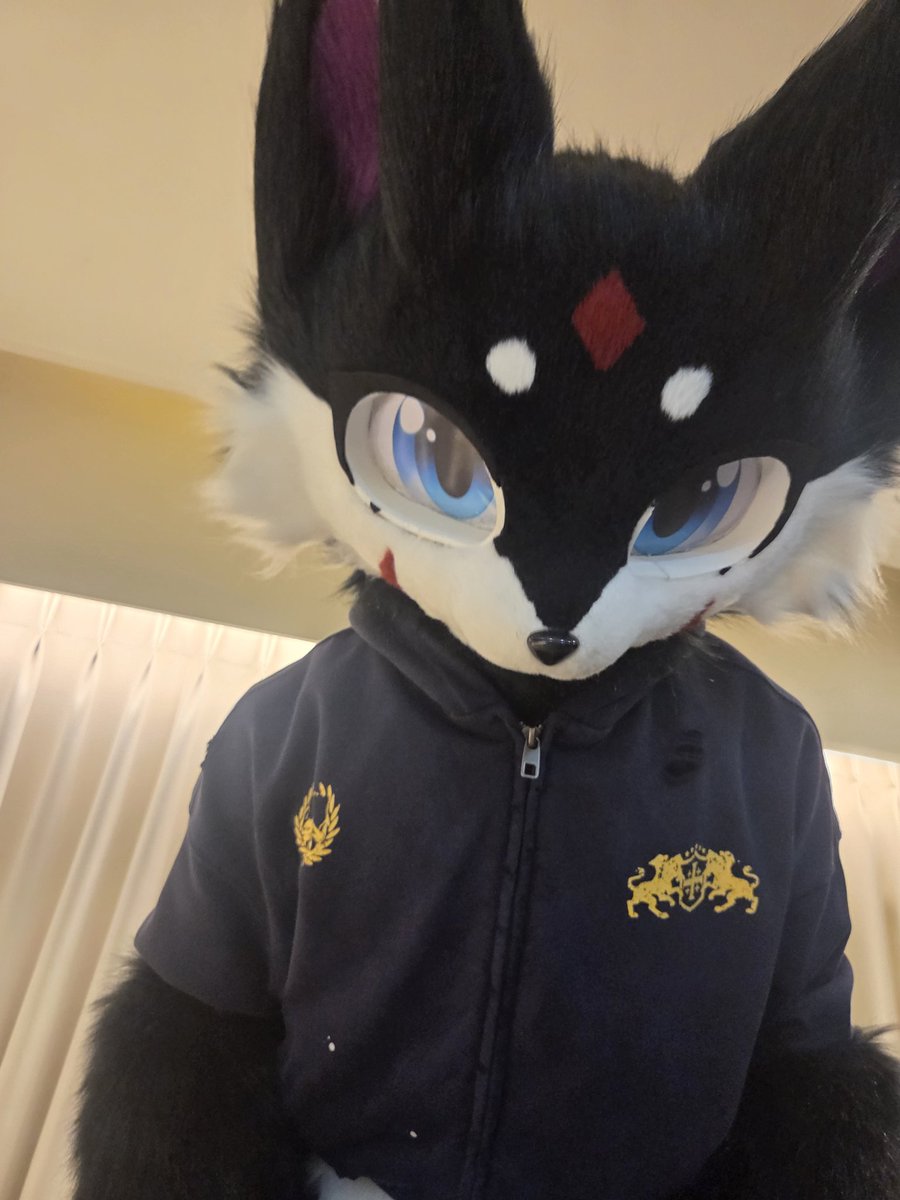 라이🌱🌱🔜FurryJoa tweet media