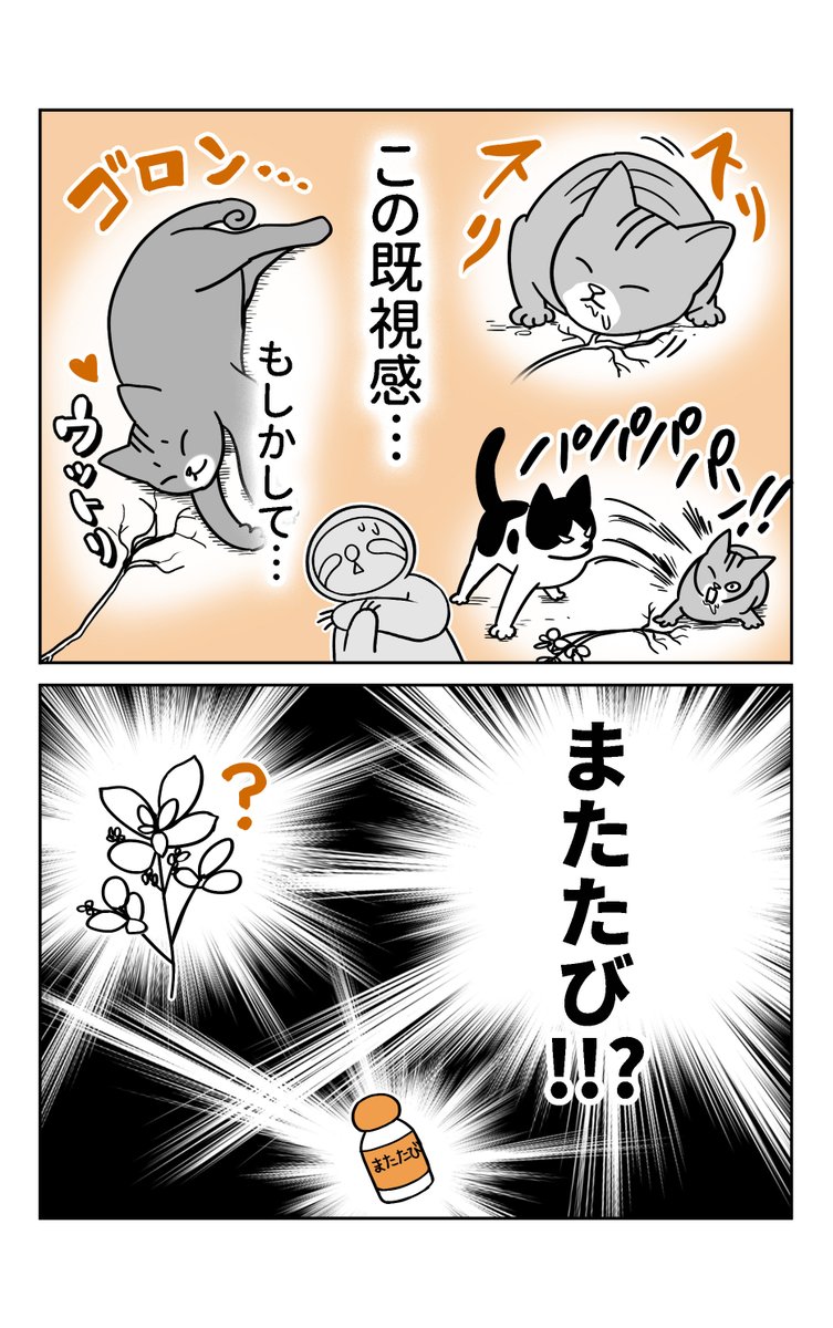 (2/2) 