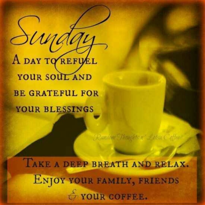 skelley6162's tweet photo. @IndeViolet30806 Good Morning, Violet! #BeterTogether have an Awesome Sunday! ☕️🦋🌹 https://t.co/XTiEo7C44k