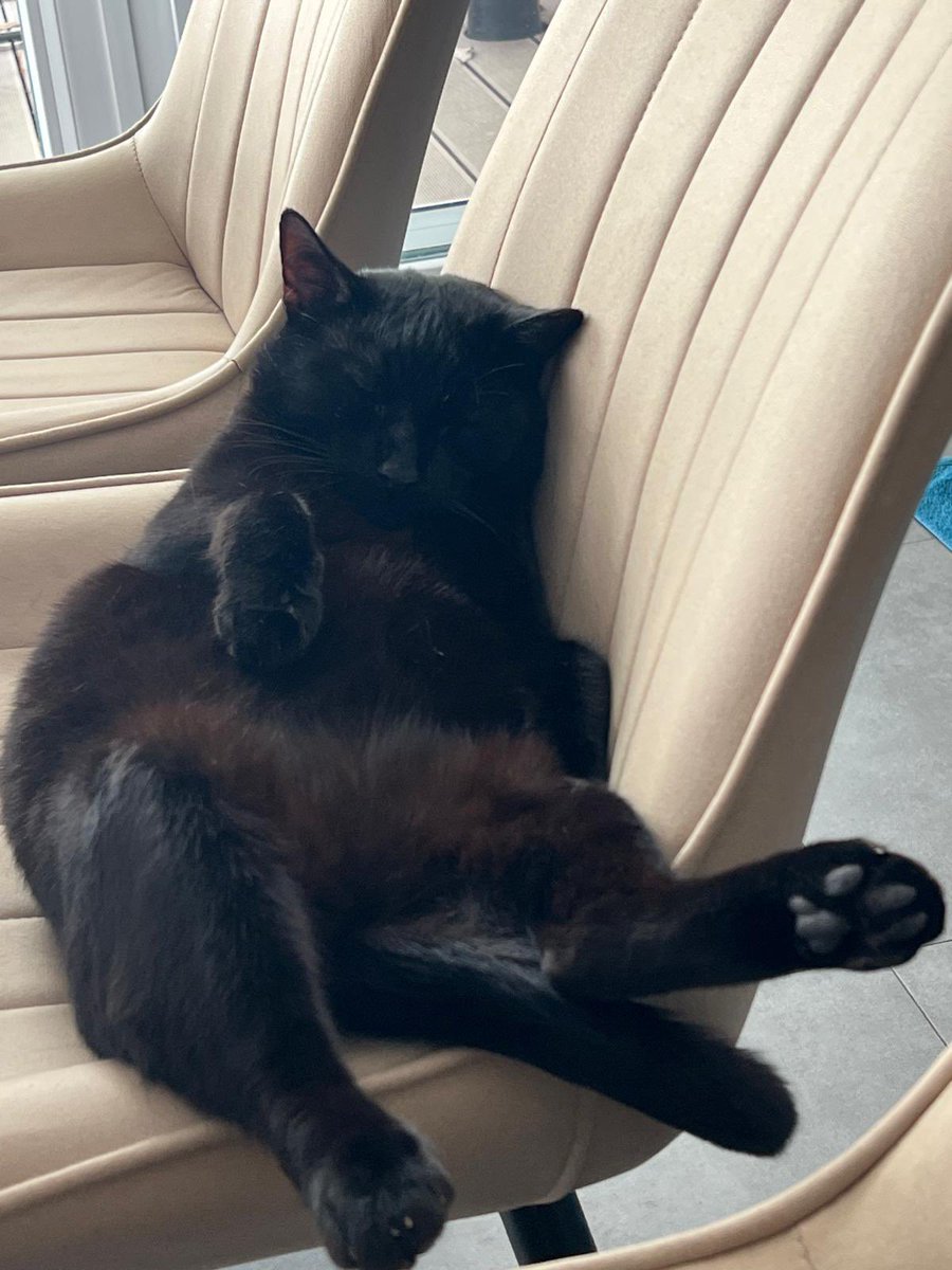 Norbert Hofer tweet media