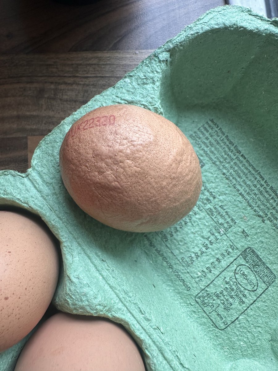 Egg-Sperts needed - never seen an egg like this before. (The pic doesn’t capture how bumpy it really is)
