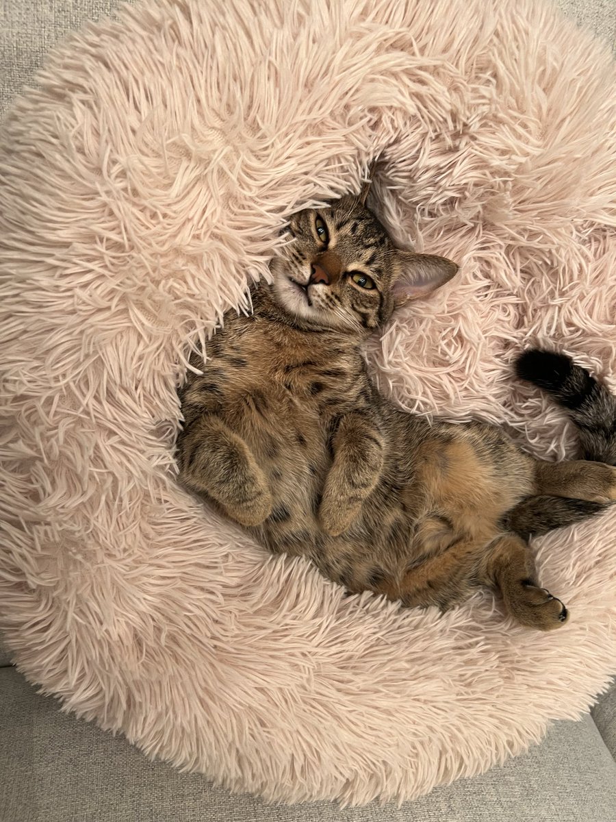 すりぃ_THREEE (@iii0303_8) / Highlights / X