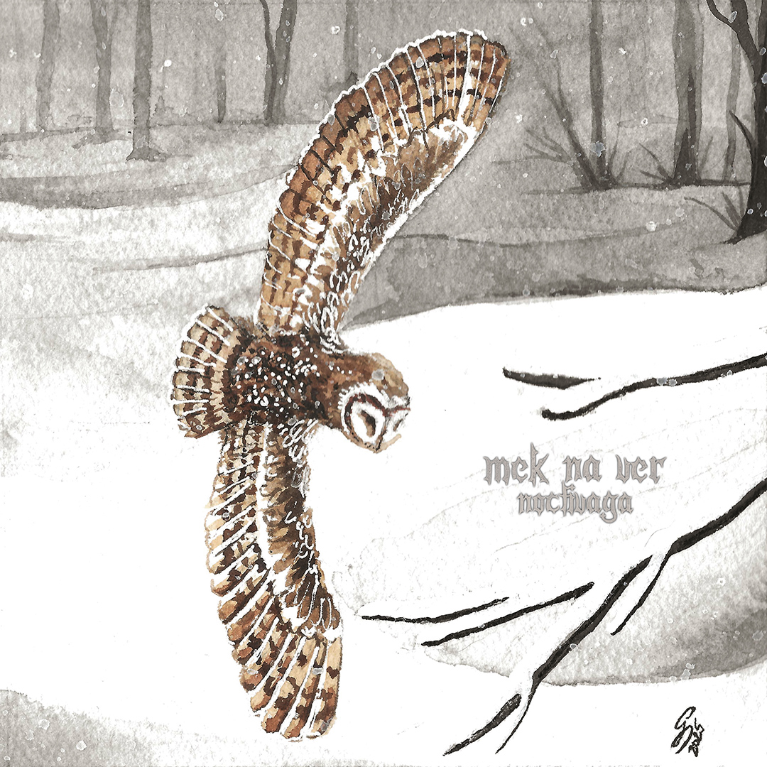bmpromotion666's tweet image. Mek Na Ver - Noctivaga (Full Album Premiere)

Atmospheric Black Metal from Italy. 

Album Premiere at 15:00 CET. 
▶ youtu.be/3uAJwL9cubE

#blackmetal #blackmetalpromotion
#italianblackmetal
#atmosphericblackmetal