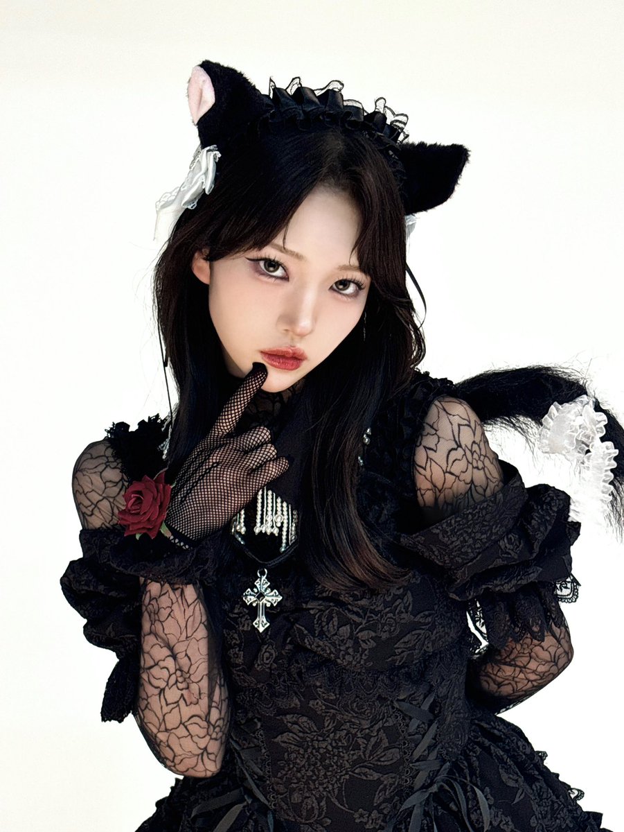 Post by 美雨（ファントムシータ） on X: 猫の日^..^♩