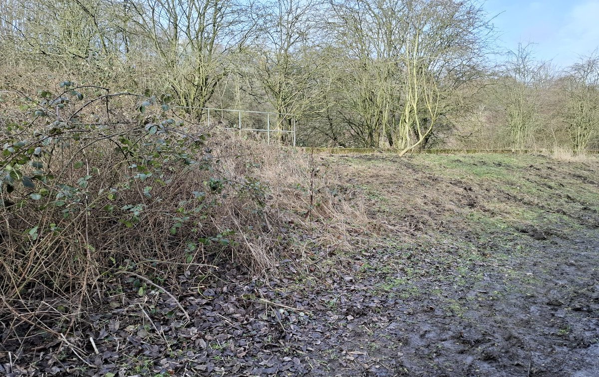 Martyn Priestley-Sharing tips about Urban Wildlife tweet media