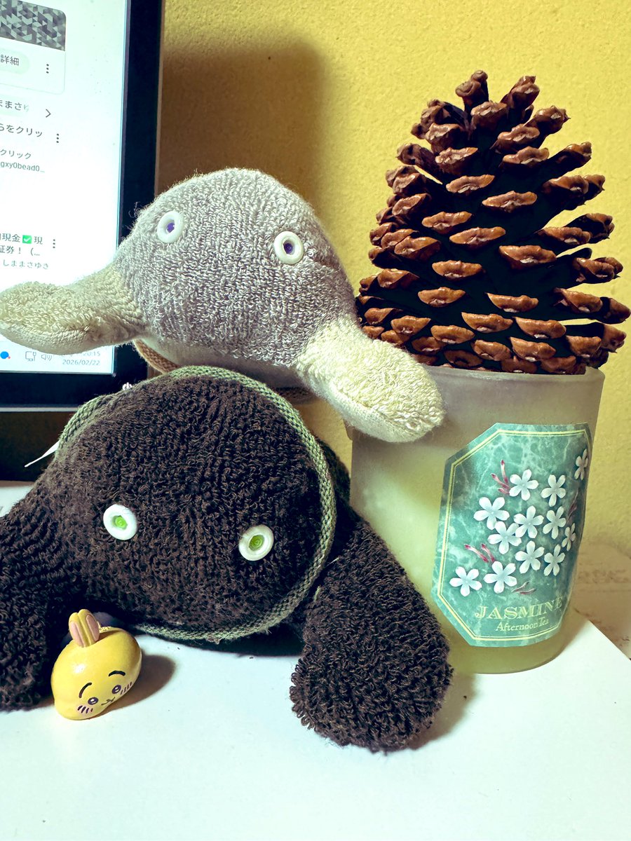 クツシタ人と松ぼっくり。