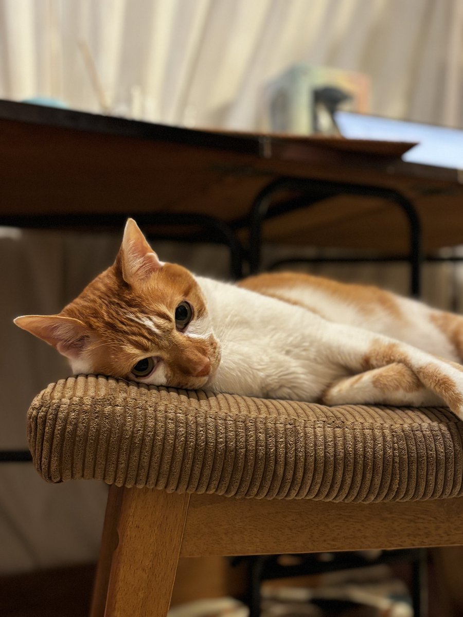 ゆの (@_emakaw) / Posts / X