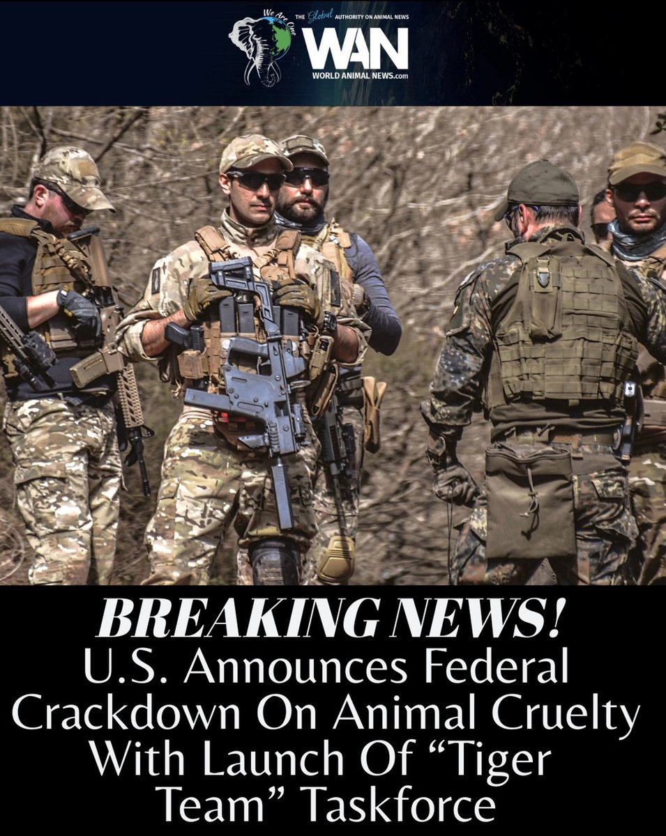 itsadogslifersq's tweet photo. Who knows where I'd knock first?
#AnimalCruelty #AnimalAbuse #AnimalRights
#ExposeTheShelters
#ShutDownKillshelters
#GoNoKill https://t.co/viw07YbiGc